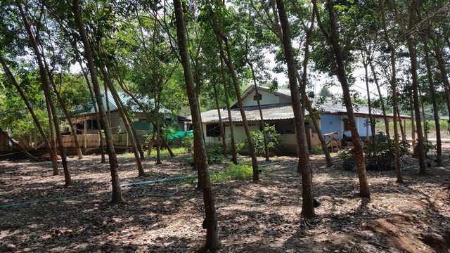 ขายที่ดินระยอง-อำเภอแกลง-เนื้อที่-3-ไร่-ใกล้แหลมแม่พิมพ์-ใกล้หาดสวนสน