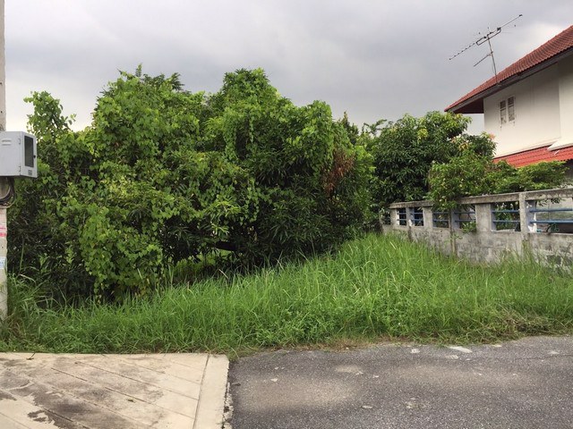 ที่ดินรามอินทรา58-ทำเลดี-เนื้อที่-76-ตรว-ใกล้รถไฟฟ้า-ใกล้แฟชั่นไอซ์แลนด์