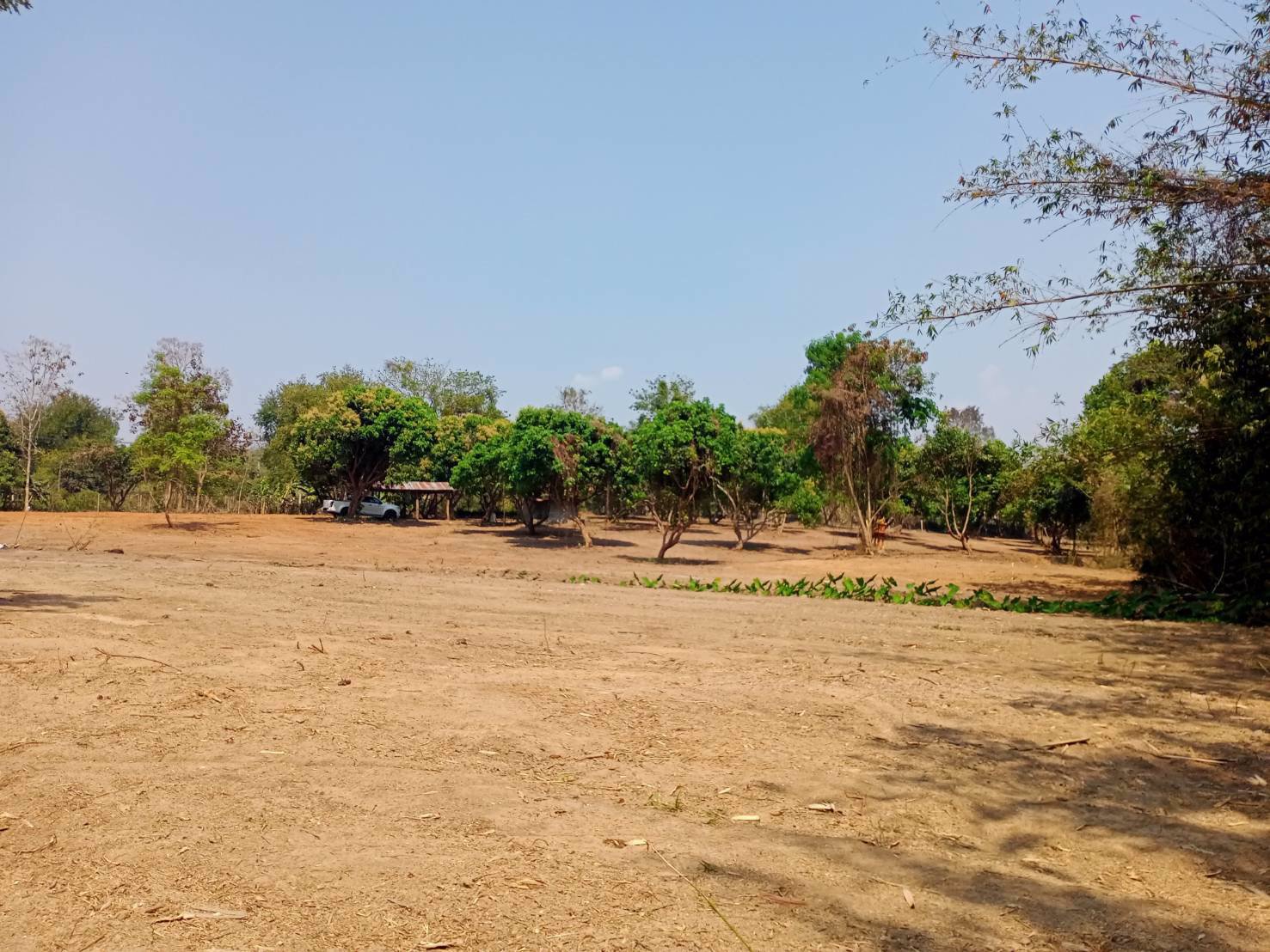 ขายที่ดินแม่โป่ง-อำเภอดอยสะเก็ดเชียงใหม่-7-2-3-ไร่-ติดถนน-2ด้าน-ใกล้วัดแม่ฮ่องไคร้