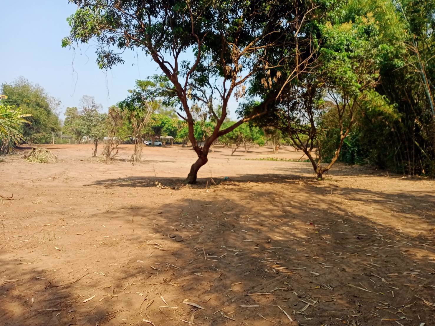 ขายที่ดินแม่โป่ง-อำเภอดอยสะเก็ดเชียงใหม่-7-2-3-ไร่-ติดถนน-2ด้าน-ใกล้วัดแม่ฮ่องไคร้