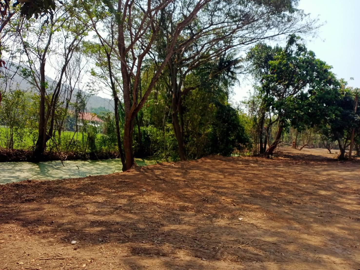 ขายที่ดินแม่โป่ง-อำเภอดอยสะเก็ดเชียงใหม่-7-2-3-ไร่-ติดถนน-2ด้าน-ใกล้วัดแม่ฮ่องไคร้