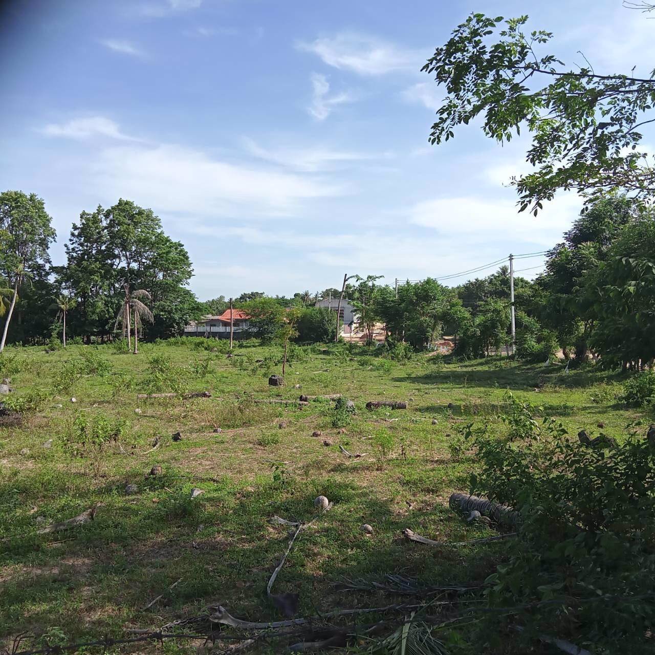 ขายที่ดินพัทยาอำเภอบางละมุง-ซอยตลาดโรงโป๊ะ-24-2-31-ไร่-ใกล้เทศบาลตะเคียนเตี้ย-ทำเลดีติดถนนดำ