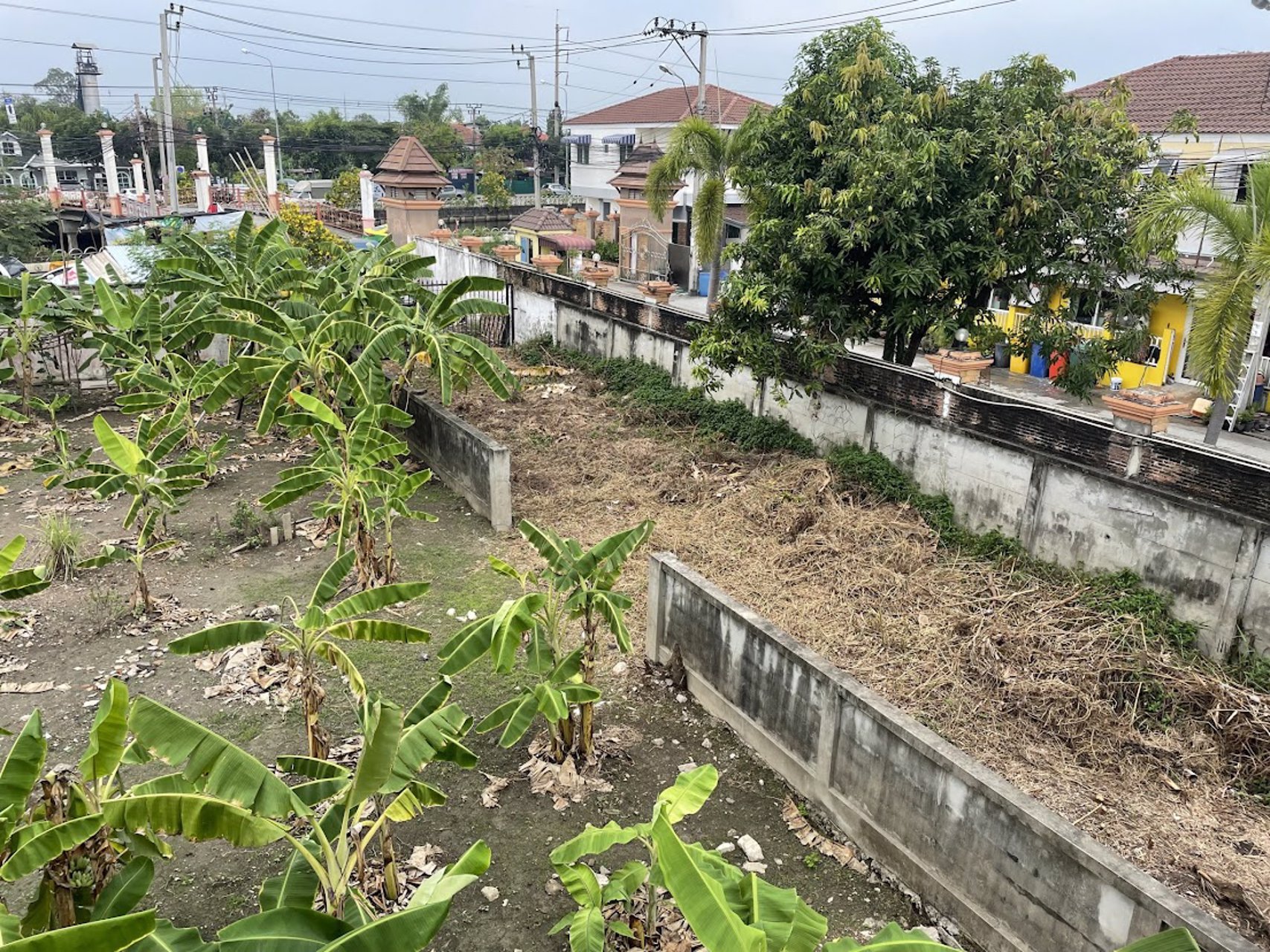 ขายที่ดินเขตบางแค-ถนนเพชรเกษม-4-0-17ไร่-มีโครงสร้างบ้านหลังใหญ่-ใกล้บิ๊กซี