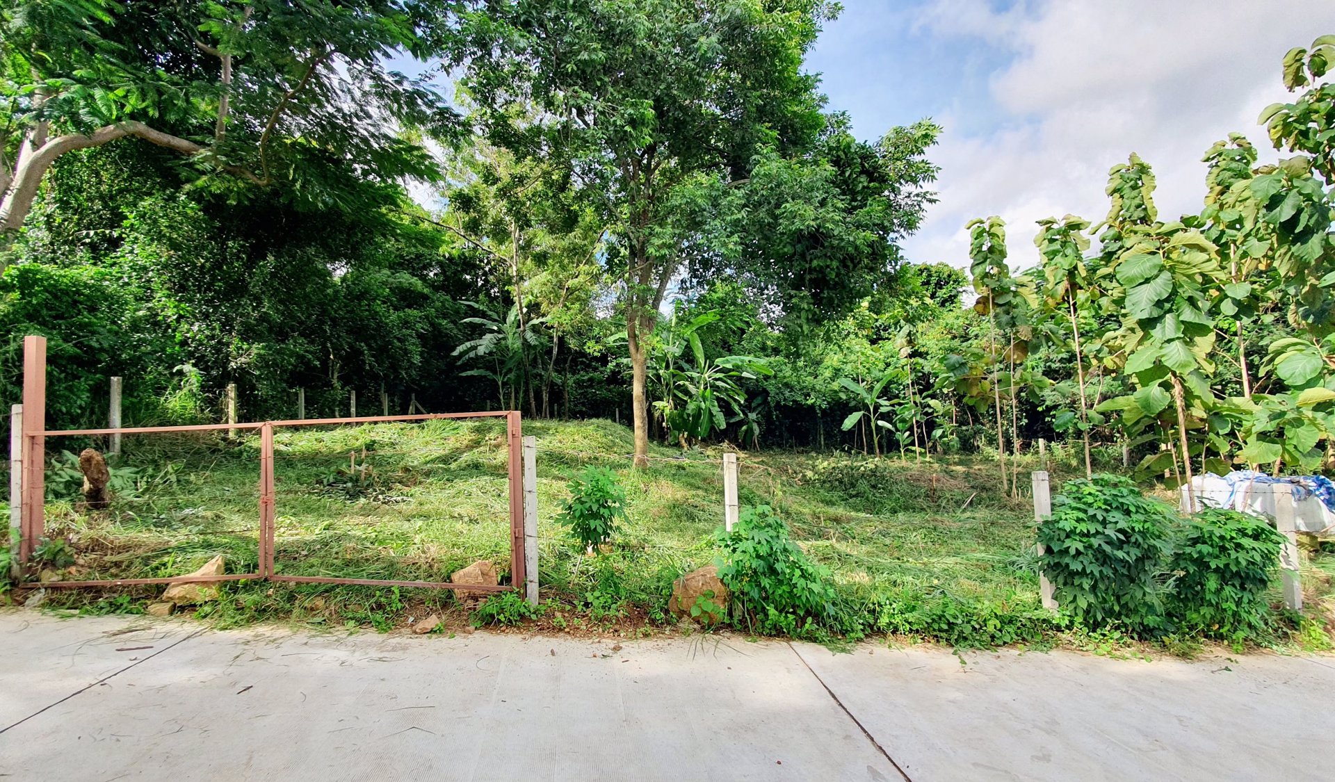 📣ขายที่ดินติดเขา-118-ตรว-หลังตลาดวรกิจ-ถเก้ากิโล-น้ำ-ไฟพร้อม