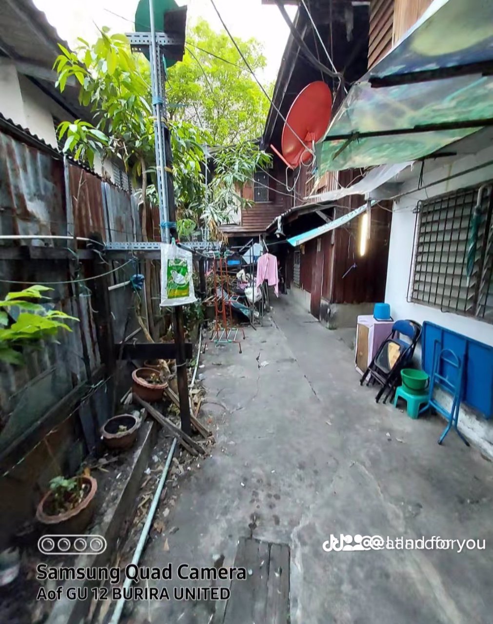 ขายที่ดินขนาด-46-ตรวพร้อมบ้านไม้เก่าตามสภาพ