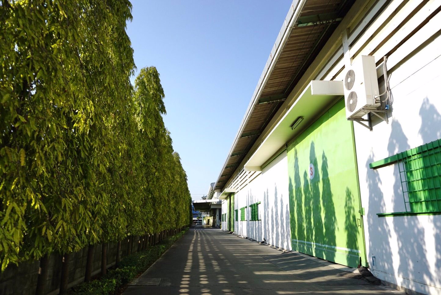 ให้เช่าอาคารพร้อมคลังสินค้า-1300-ตรม-ติดถนนใหญ่ลาดกระบัง-วงแหวนบางนา-บางปะอิน