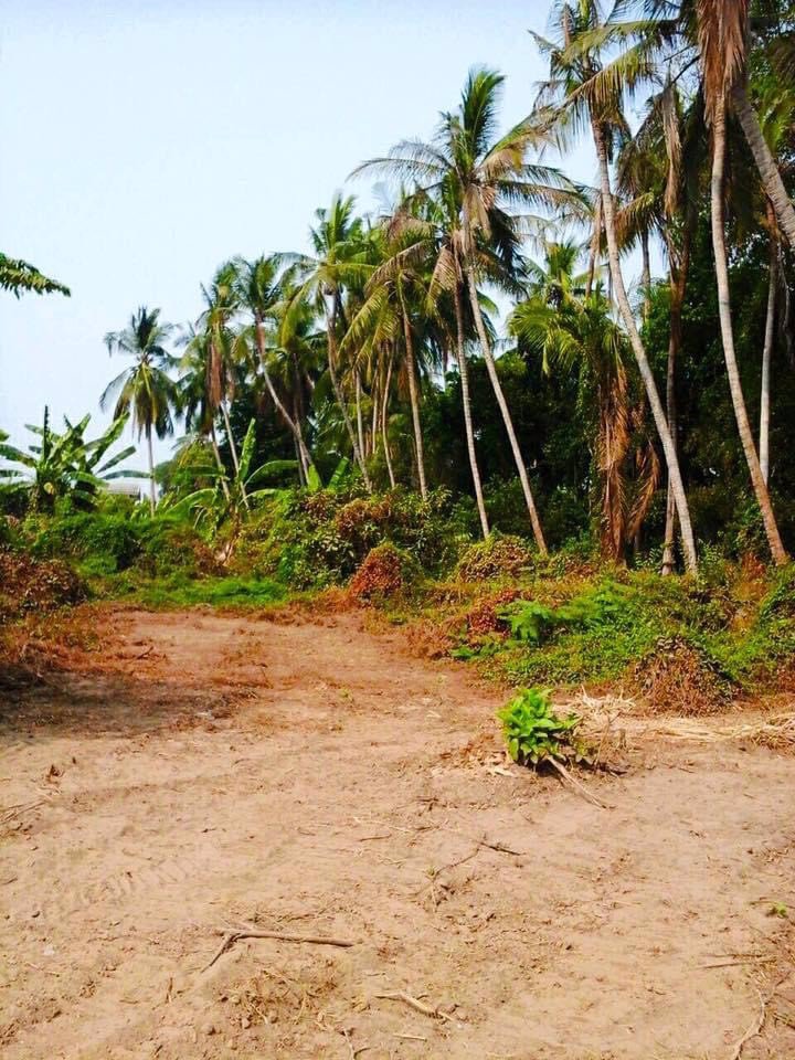ขายที่ดินสวยรูปสี่เหลี่ยมผืนผ้า-ใกล้ที่ว่าการบำพรตพิสัย-จังหวัดนครสวรรค์-เนื้อที่-1-ไร่-1-งาน-78