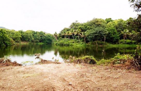 ขายที่ดินสวยจังหวัดน่านติดแม่น้ำน่าน-มีแอ่งน้ำในที่ดิน-วิวเนินเขามีป่าไม้หลากหลายพันธ์