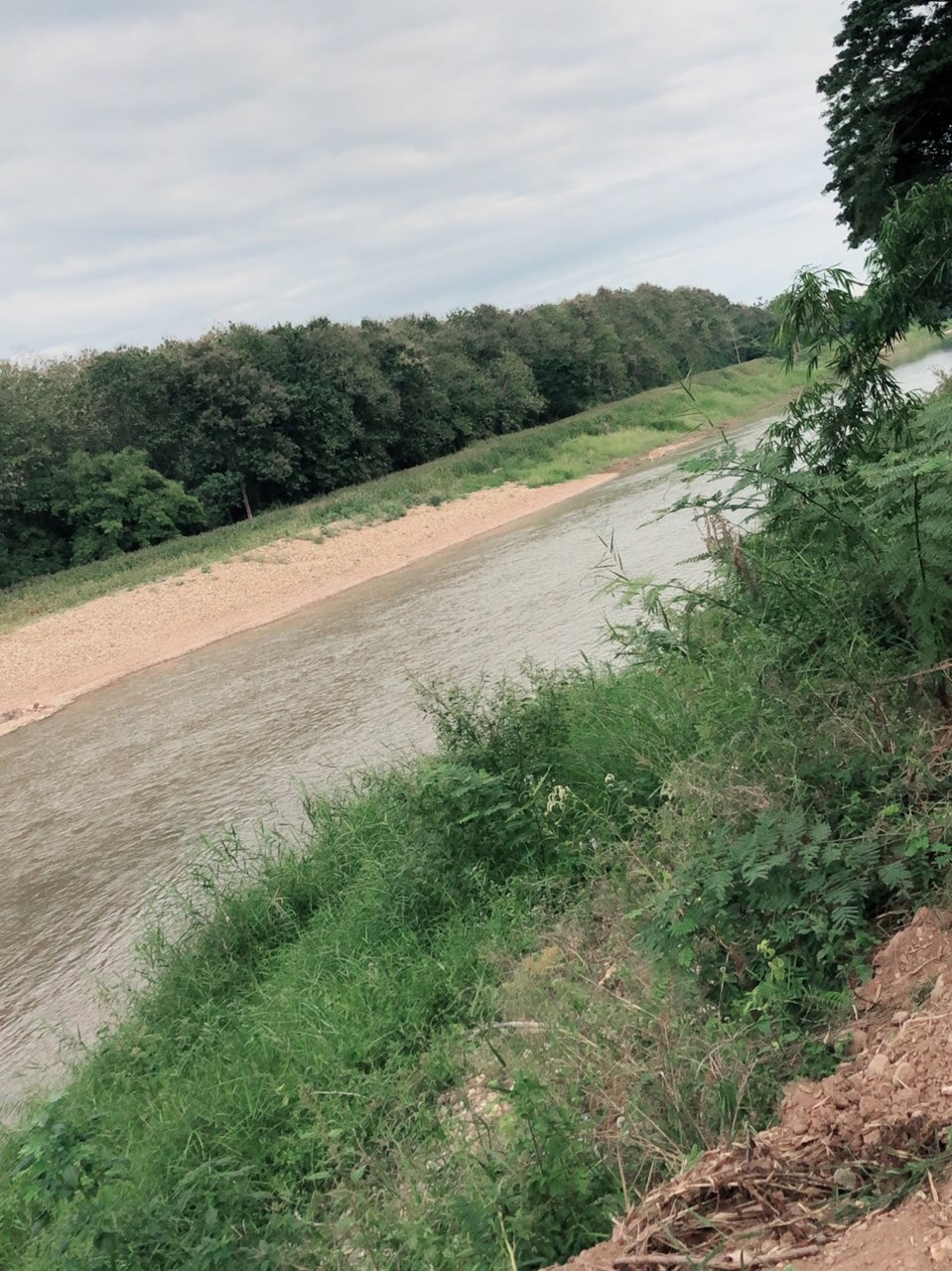 ขายที่ดินสวยจังหวัดน่านติดแม่น้ำน่าน-มีแอ่งน้ำในที่ดิน-วิวเนินเขามีป่าไม้หลากหลายพันธ์