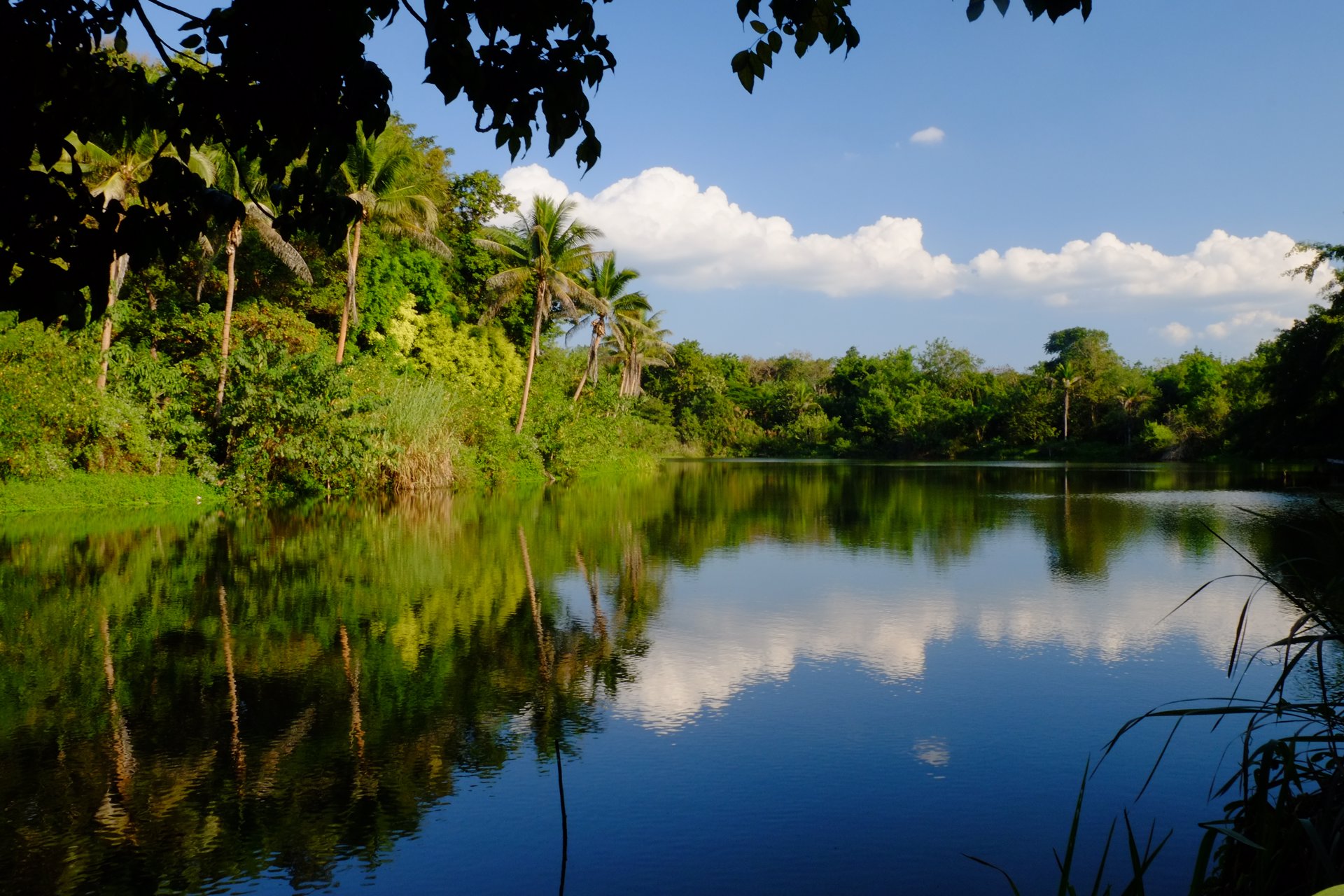 ขายที่ดินสวยจังหวัดน่านติดแม่น้ำน่าน-มีแอ่งน้ำในที่ดิน-วิวเนินเขามีป่าไม้หลากหลายพันธ์