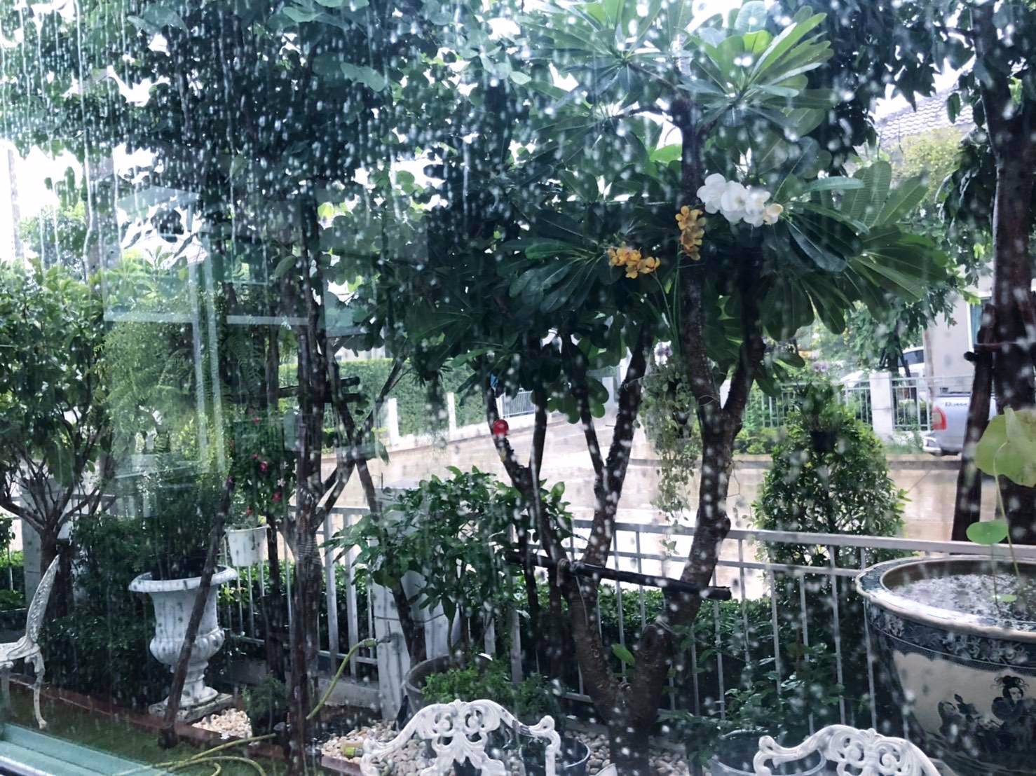 ขายบ้านเดี่ยว-เพอร์เฟคพาร์ค-ราชพฤกษ์-เนื้อที่-399-ตรว-3-นอน-3-น้ำ-ราคา-58-ล้าน