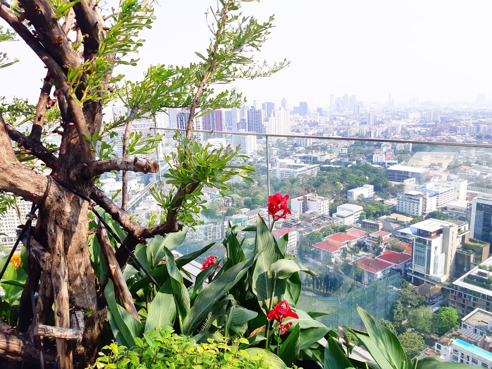 rhythm-sukhumvit-42-คอนโด-ให้เช่า-พื้นที่-7793-ตารางเมตร-นอน-2-ห้องน้ำ-2-พร้อมเฟอร์นิเจอร์