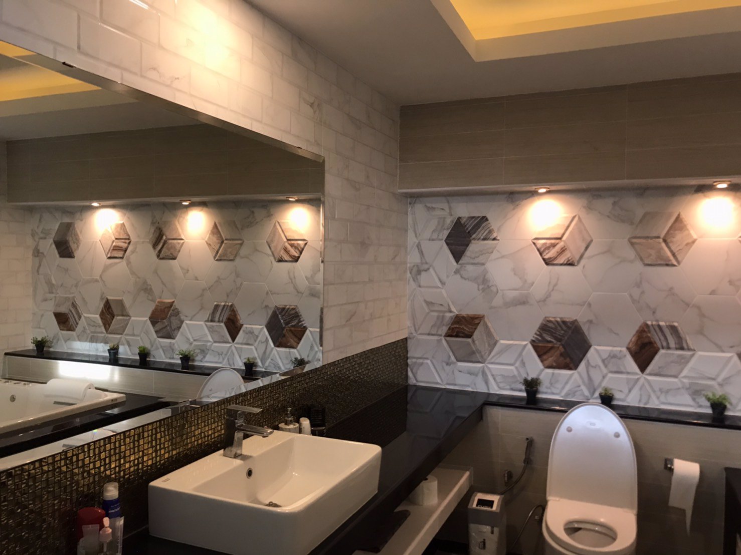 ขายบ้านสวยในตัวเมืองพิษณุโลกบนพื้นที่ทั้งหมด-4-ไร่-house-and-land-for-sale-in-phitsanulok-city