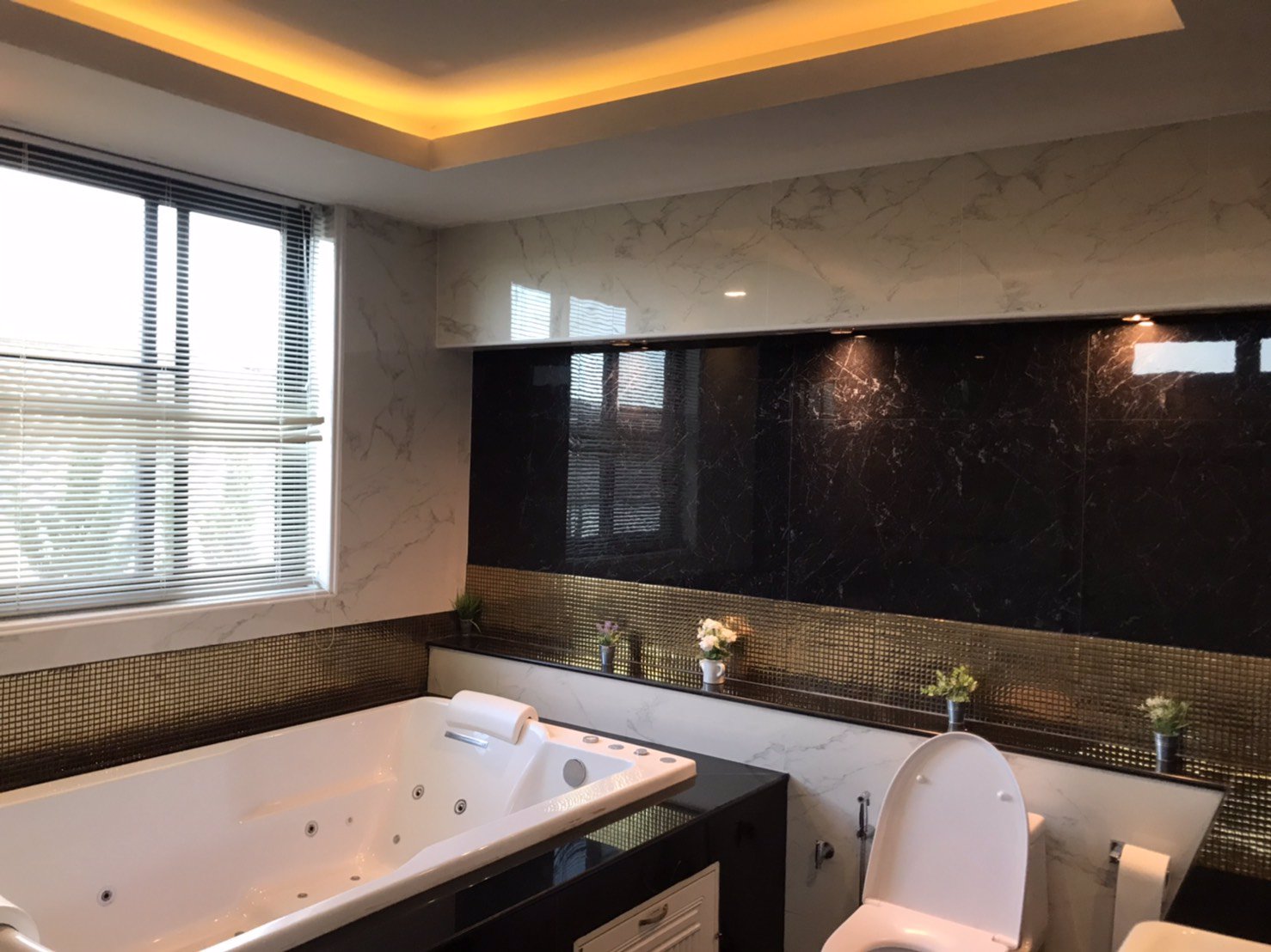 ขายบ้านสวยในตัวเมืองพิษณุโลกบนพื้นที่ทั้งหมด-4-ไร่-house-and-land-for-sale-in-phitsanulok-city