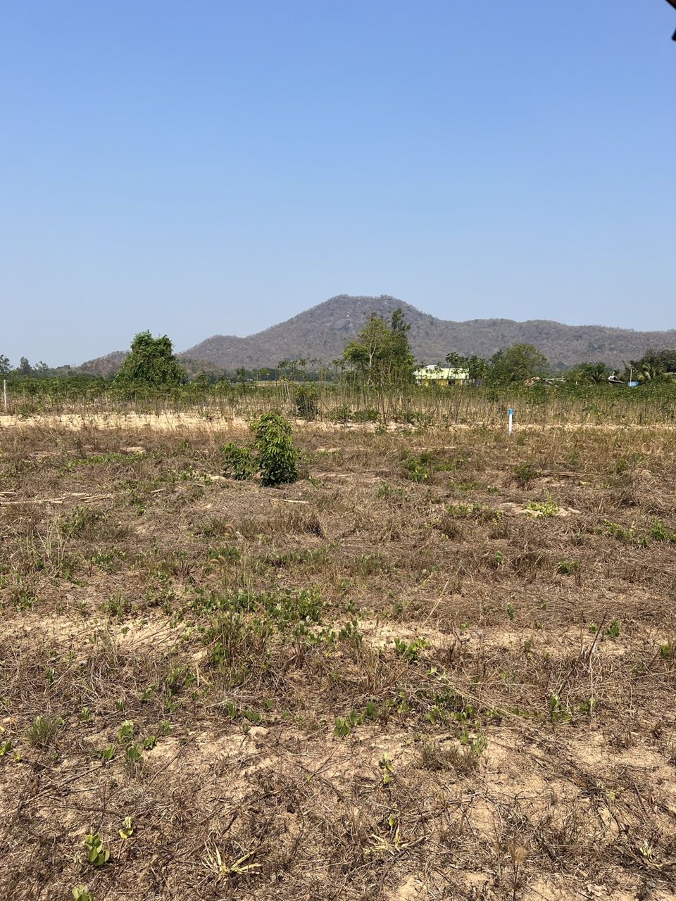ขายด่วน-ที่ดิน-สามพระยา-ชะอำ-ใกล้หัวหิน