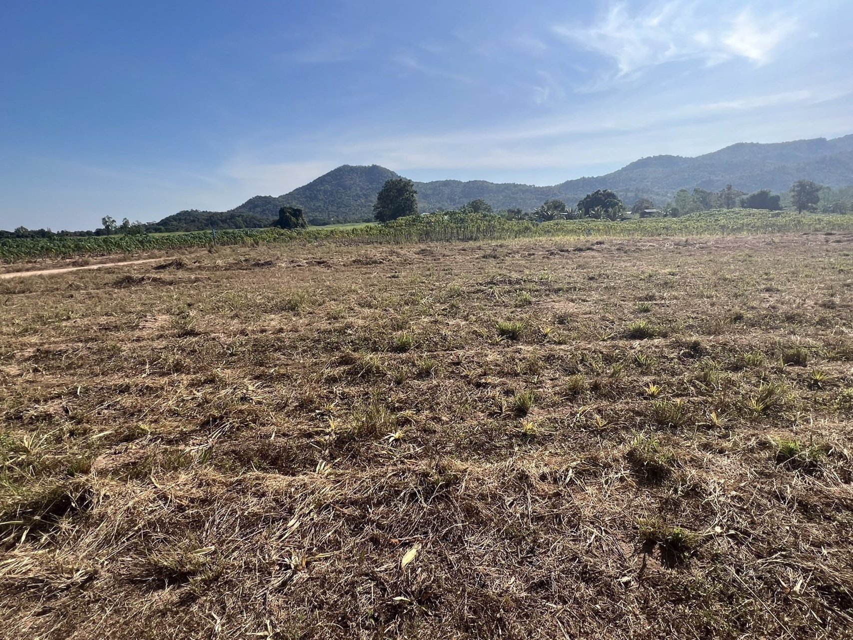 ขายด่วน-ที่ดิน-สามพระยา-ชะอำ-ใกล้หัวหิน