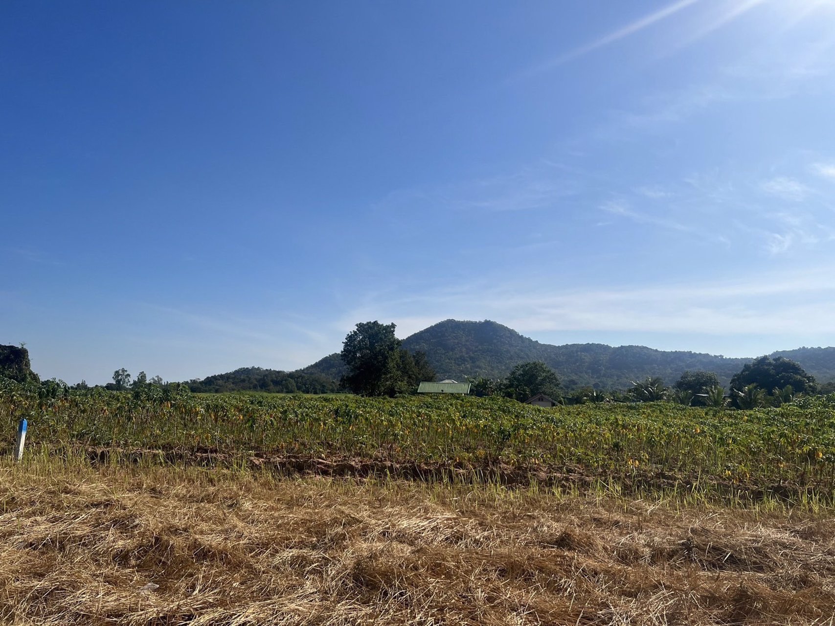 ขายด่วน-ที่ดิน-สามพระยา-ชะอำ-ใกล้หัวหิน