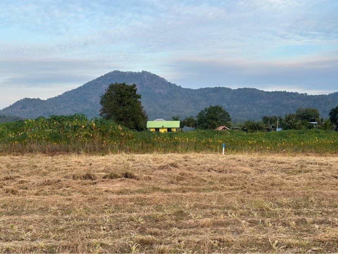 ขายด่วน-ที่ดิน-สามพระยา-ชะอำ-ใกล้หัวหิน