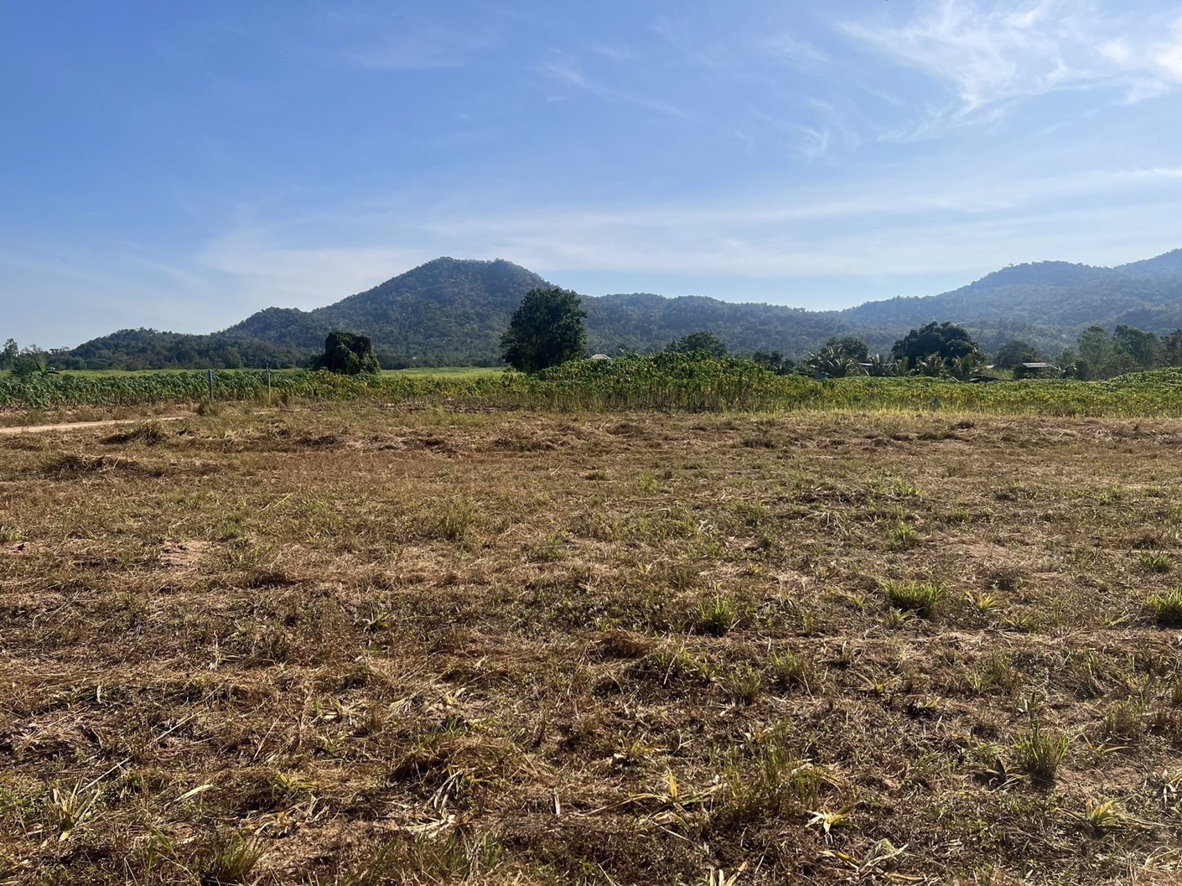 ขายด่วน-ที่ดิน-สามพระยา-ชะอำ-ใกล้หัวหิน