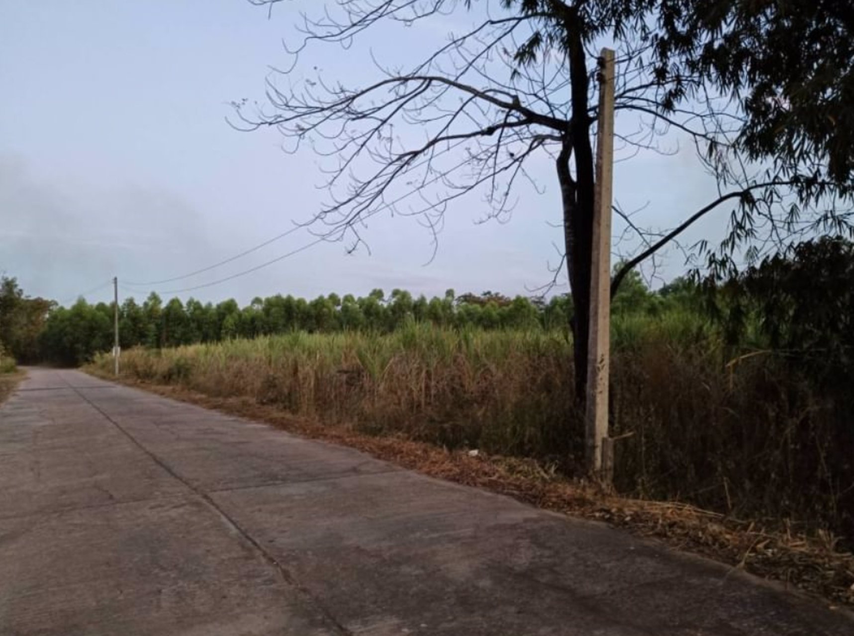 ขายที่ดินทำบ้านราคาถกๆ-ขนาด50ตรว