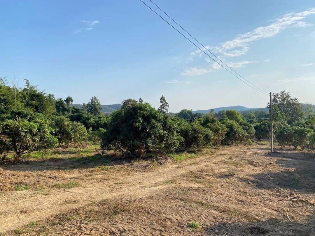 ขายที่ดินแปลงสวยวิวภูเขา-360-องศา-น้ำแพร่-เชียงใหม่เจ้า