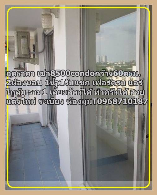 ลดราคาเช่า8000กว้าง60ตรม2ห้องนอน1น้ำ1รับแขก-เฟอร์ครบ-แอร์-t0968710187condoใกล้มราม1-เลี้ยงสัตว์ได้