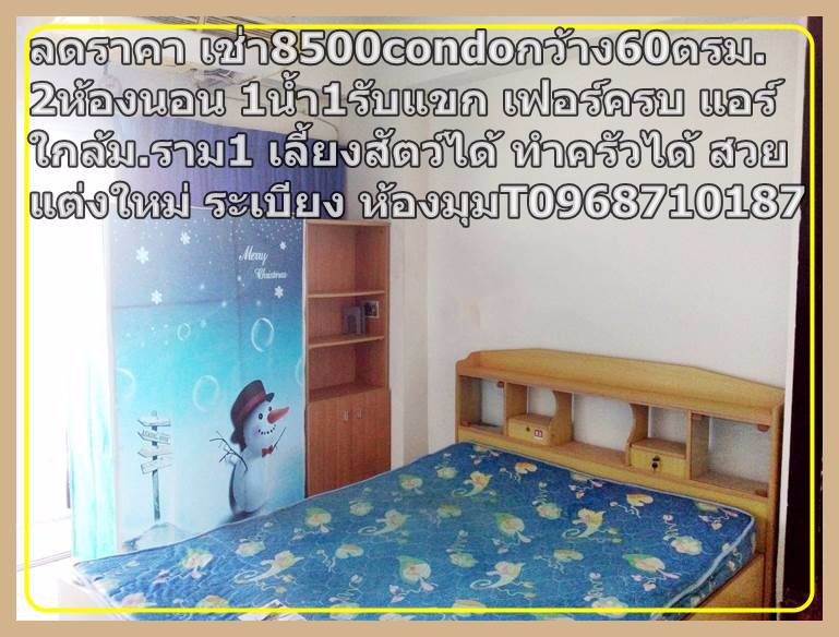 ลดราคาเช่า8000กว้าง60ตรม2ห้องนอน1น้ำ1รับแขก-เฟอร์ครบ-แอร์-t0968710187condoใกล้มราม1-เลี้ยงสัตว์ได้