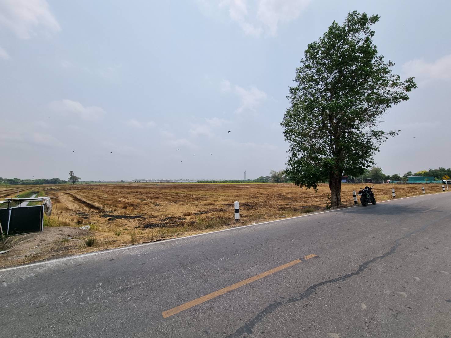 ที่ดินบางใหญ่-51-3-44-ตรว-โฉนดเดียวพร้อมโอน-ตบางแม่นาง-อบางใหญ่-จนนทบุรี