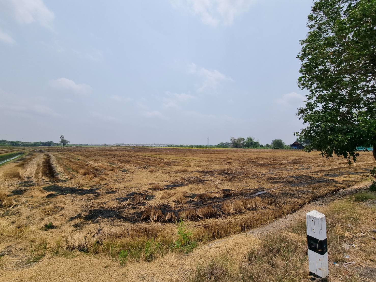 ที่ดินบางใหญ่-51-3-44-ตรว-โฉนดเดียวพร้อมโอน-ตบางแม่นาง-อบางใหญ่-จนนทบุรี