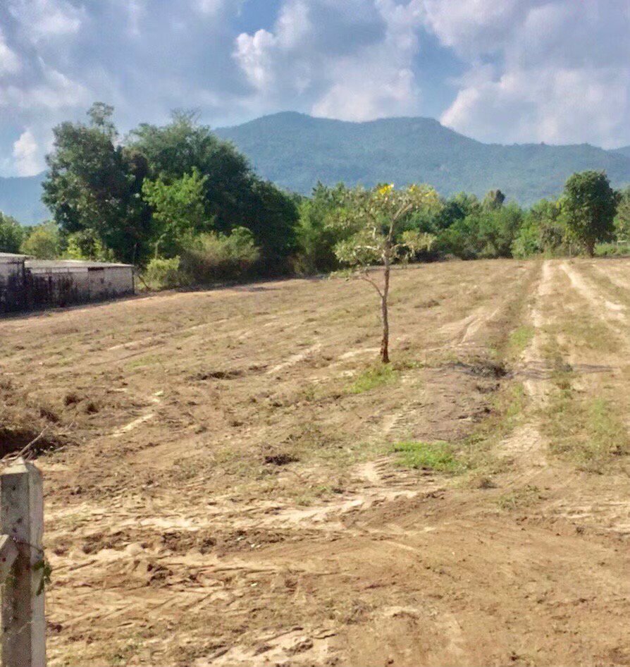 ขายที่โฉนด-วิวเขา-5-ไร่-ไร่ละ-850000-ค่าโอนคนละครึ่ง