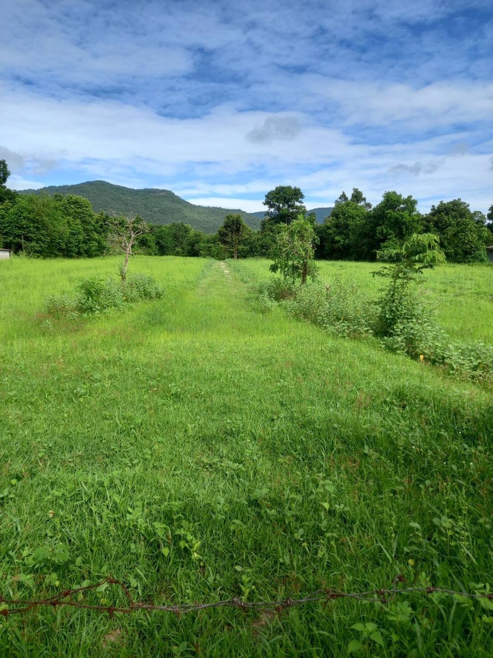 ขายที่โฉนด-วิวเขา-5-ไร่-ไร่ละ-850000-ค่าโอนคนละครึ่ง