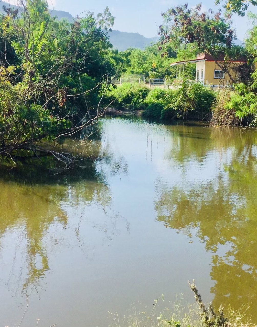 ขายที่โฉนด-วิวเขา-5-ไร่-ไร่ละ-850000-ค่าโอนคนละครึ่ง