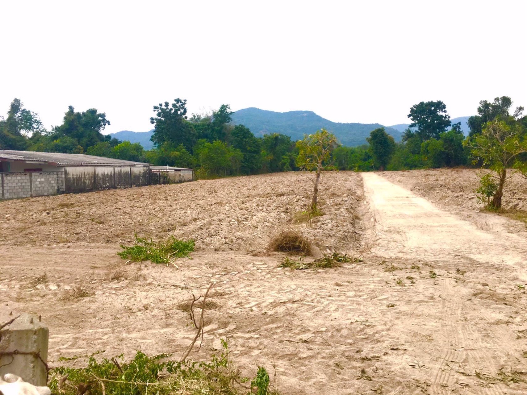 ขายที่โฉนด-วิวเขา-5-ไร่-ไร่ละ-850000-ค่าโอนคนละครึ่ง