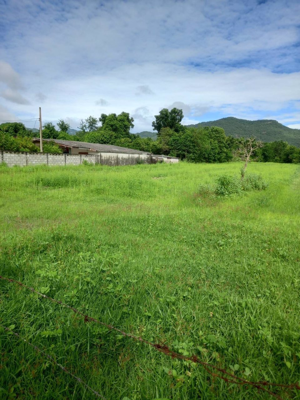 ขายที่โฉนด-วิวเขา-5-ไร่-ไร่ละ-850000-ค่าโอนคนละครึ่ง