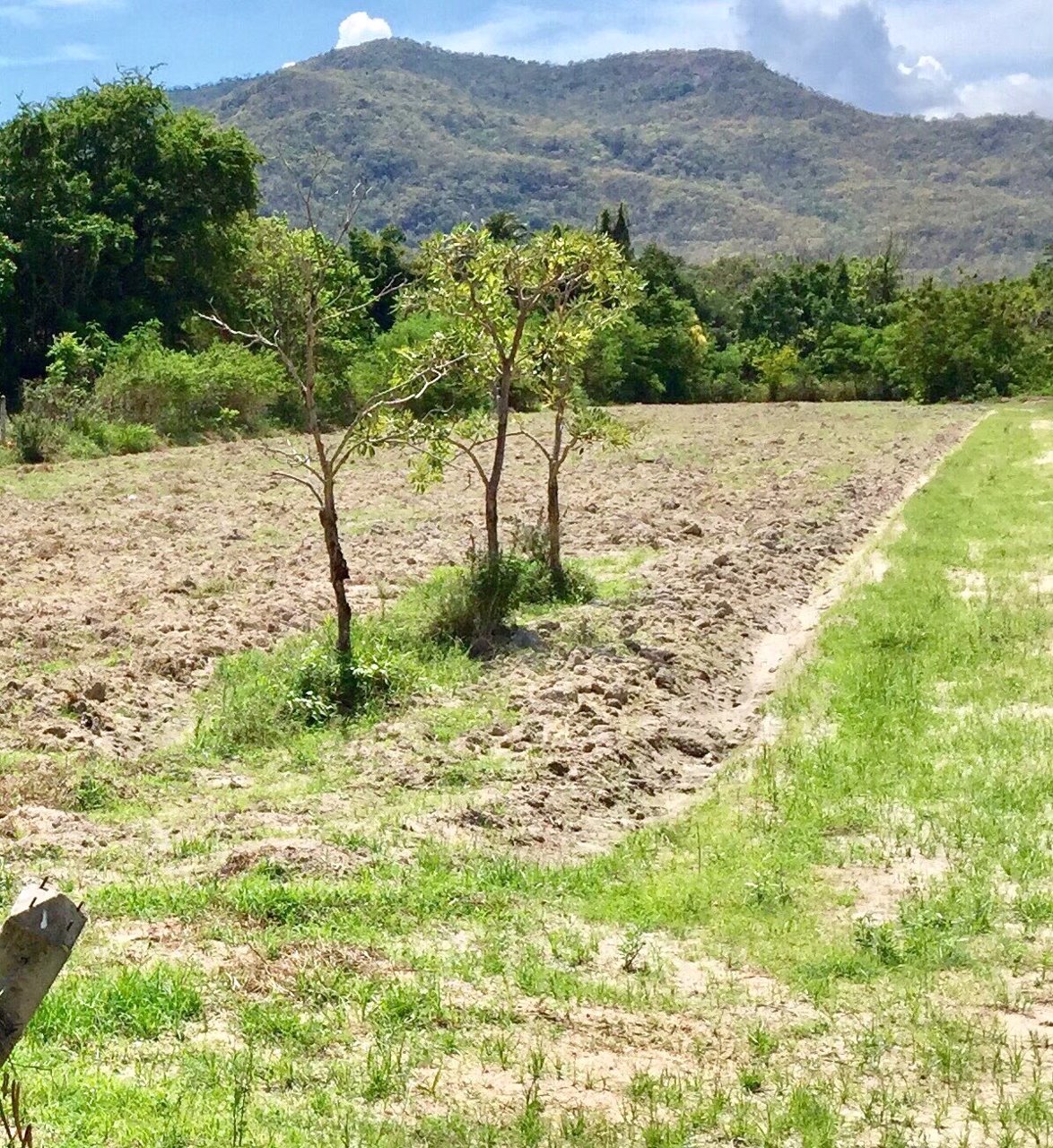 ขายที่โฉนด-วิวเขา-5-ไร่-ไร่ละ-850000-ค่าโอนคนละครึ่ง