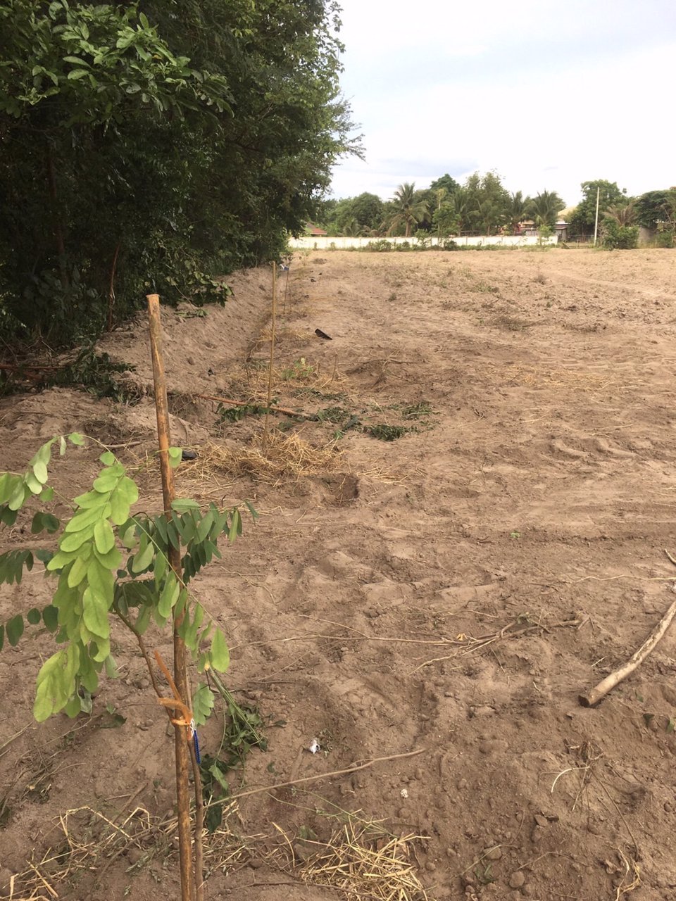 ขายที่โฉนด-วิวเขา-5-ไร่-ไร่ละ-850000-ค่าโอนคนละครึ่ง