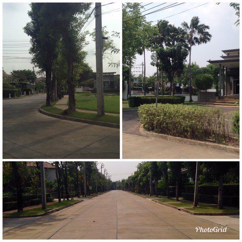 ขายบ้านเดี่ยวโครงการฮาบิเทีย-ปัญญาอินทรา2-ติดสวนสัตว์ซาฟารีเวิลดิ์สนามกอล์ฟlegacyรรสาธิตพัฒนา