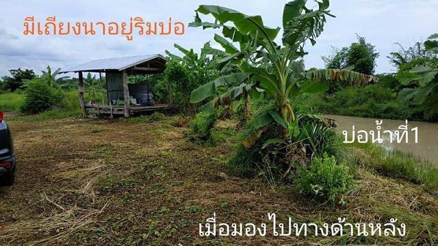ขายที่ดิน8ไร่อำเภอเมืองจังหวัดนครนายก-โฉนด-นส4จ-ขายราคาต้นทุนวิวเขา-ใกล้วัดป่าศรีถาวรนิมิต-ใกล้ศ