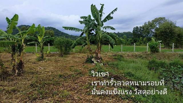 ขายที่ดิน8ไร่อำเภอเมืองจังหวัดนครนายก-โฉนด-นส4จ-ขายราคาต้นทุนวิวเขา-ใกล้วัดป่าศรีถาวรนิมิต-ใกล้ศ