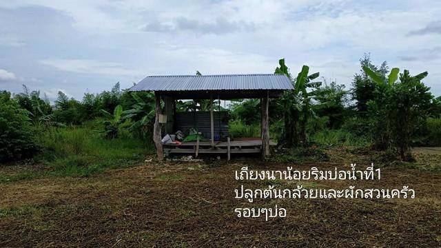 ขายที่ดิน8ไร่อำเภอเมืองจังหวัดนครนายก-โฉนด-นส4จ-ขายราคาต้นทุนวิวเขา-ใกล้วัดป่าศรีถาวรนิมิต-ใกล้ศ