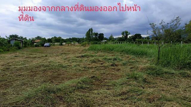 ขายที่ดิน8ไร่อำเภอเมืองจังหวัดนครนายก-โฉนด-นส4จ-ขายราคาต้นทุนวิวเขา-ใกล้วัดป่าศรีถาวรนิมิต-ใกล้ศ