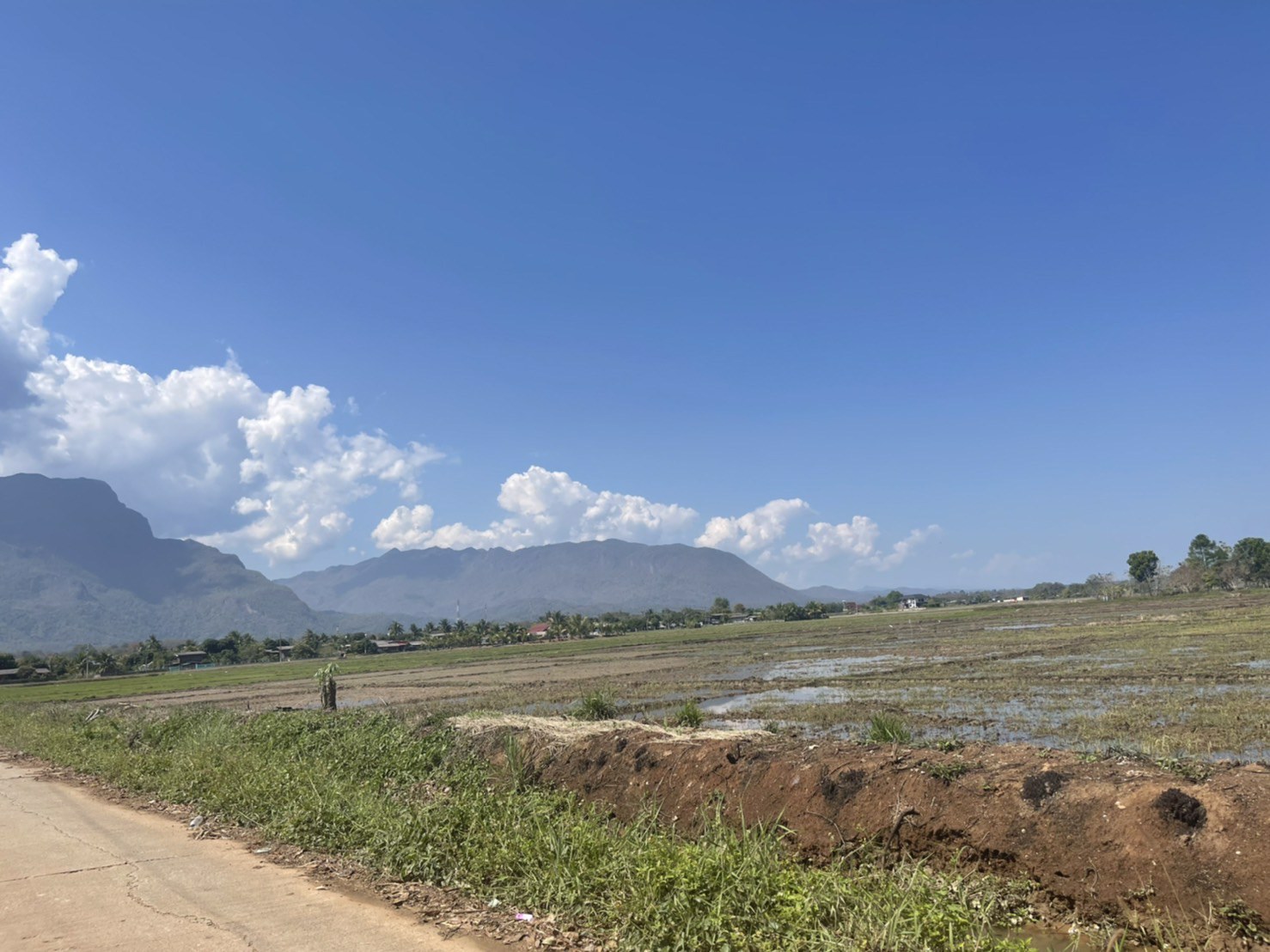 ขายด่วนที่ดินเชียงดาว-วิวสวย-ใกล้เมืองเชียงดาว-พิกัด-ตำบลเชียงดาว