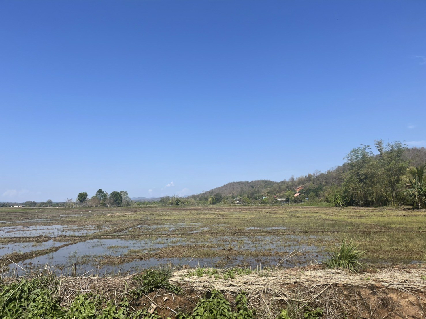 ขายด่วนที่ดินเชียงดาว-วิวสวย-ใกล้เมืองเชียงดาว-พิกัด-ตำบลเชียงดาว
