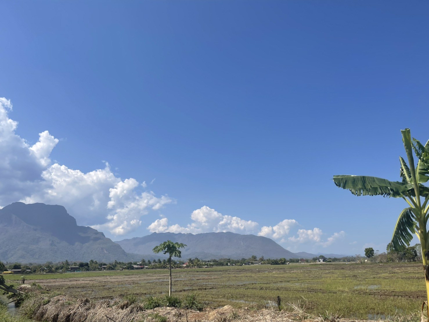 ขายด่วนที่ดินเชียงดาว-วิวสวย-ใกล้เมืองเชียงดาว-พิกัด-ตำบลเชียงดาว