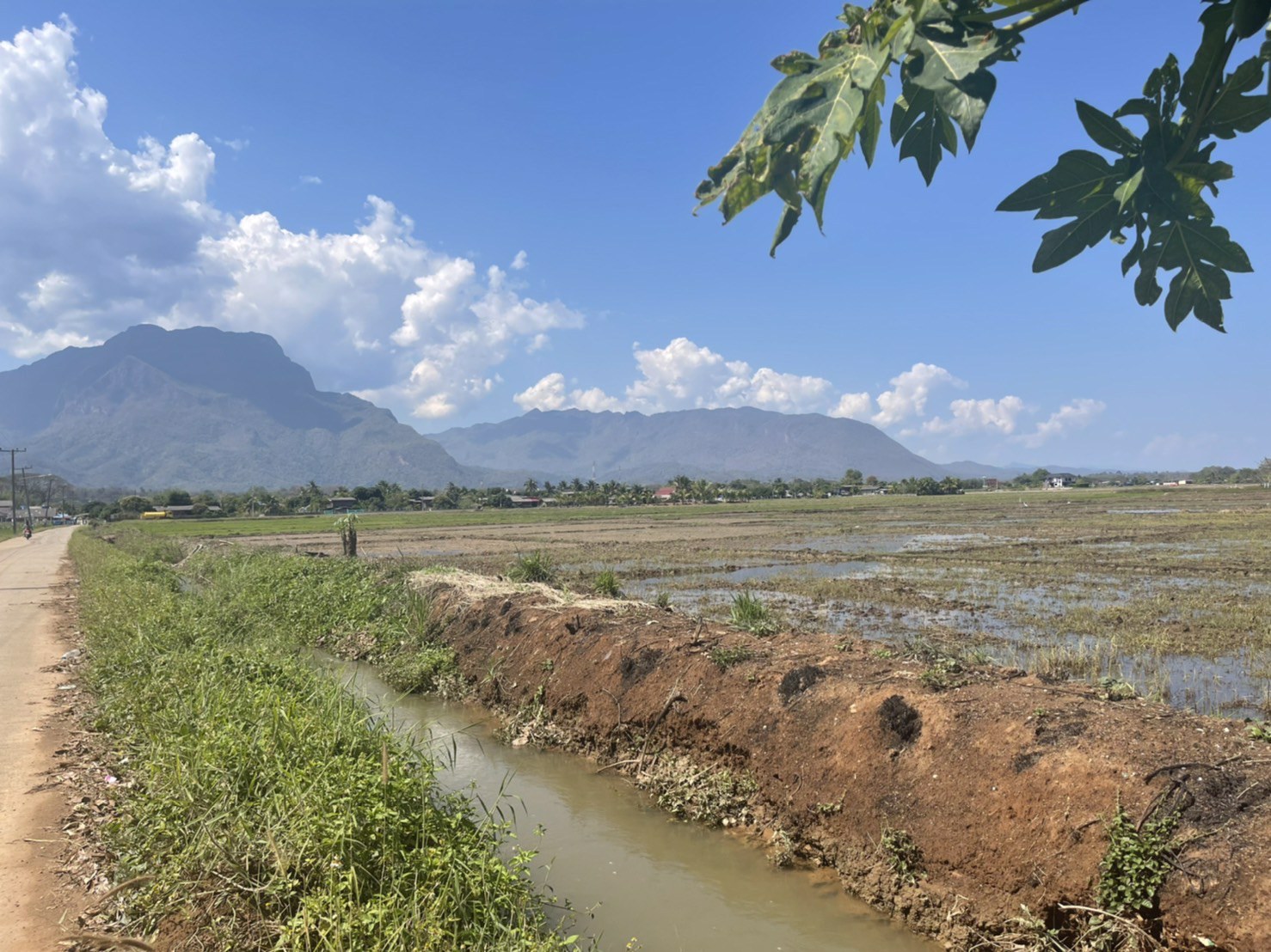 ขายด่วนที่ดินเชียงดาว-วิวสวย-ใกล้เมืองเชียงดาว-พิกัด-ตำบลเชียงดาว