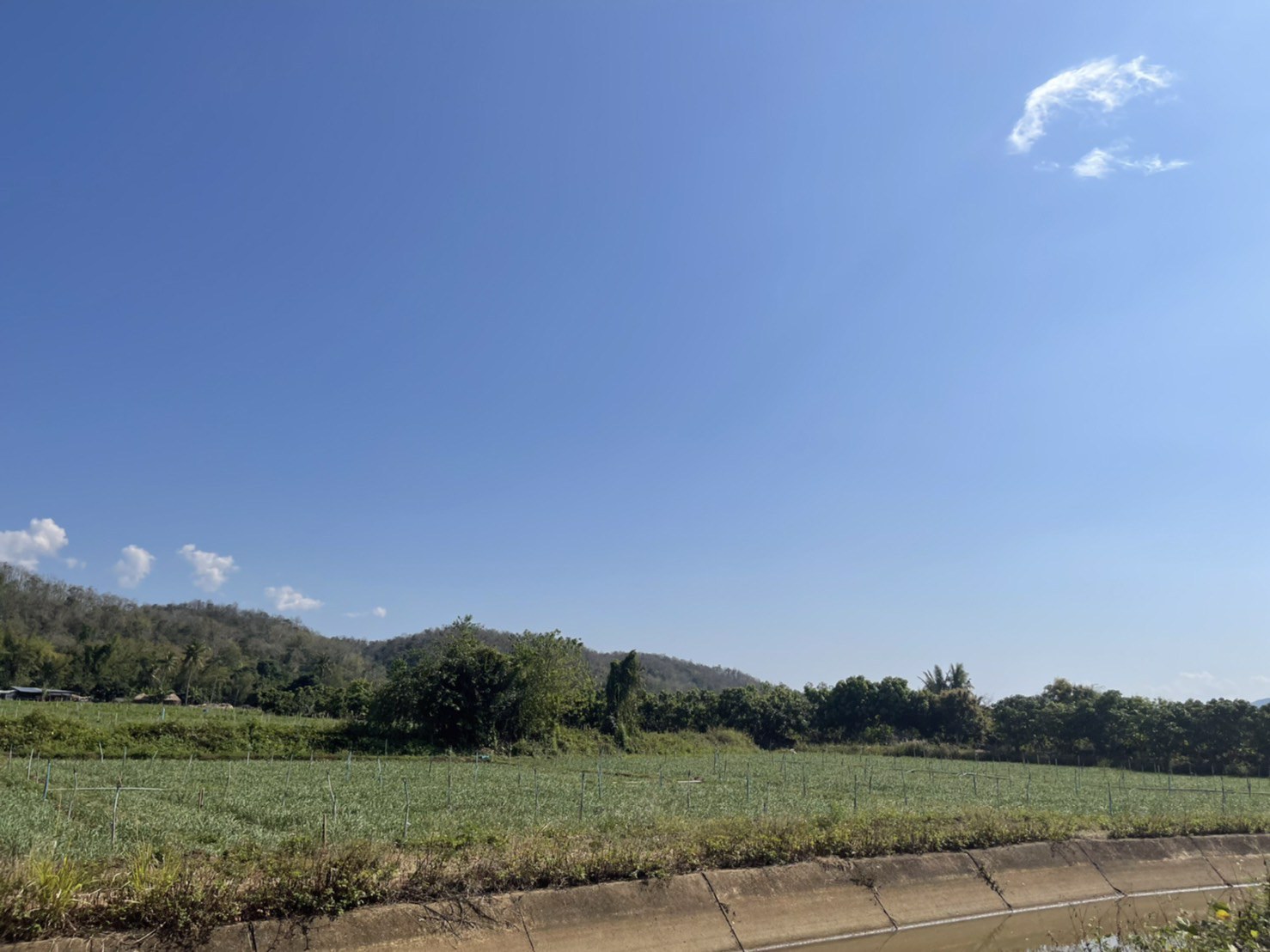 ขายที่ดินใกล้เมืองเชียงดาว-5-ไร่-22-ตรว-วิวสวย-วิวดอยหลวง