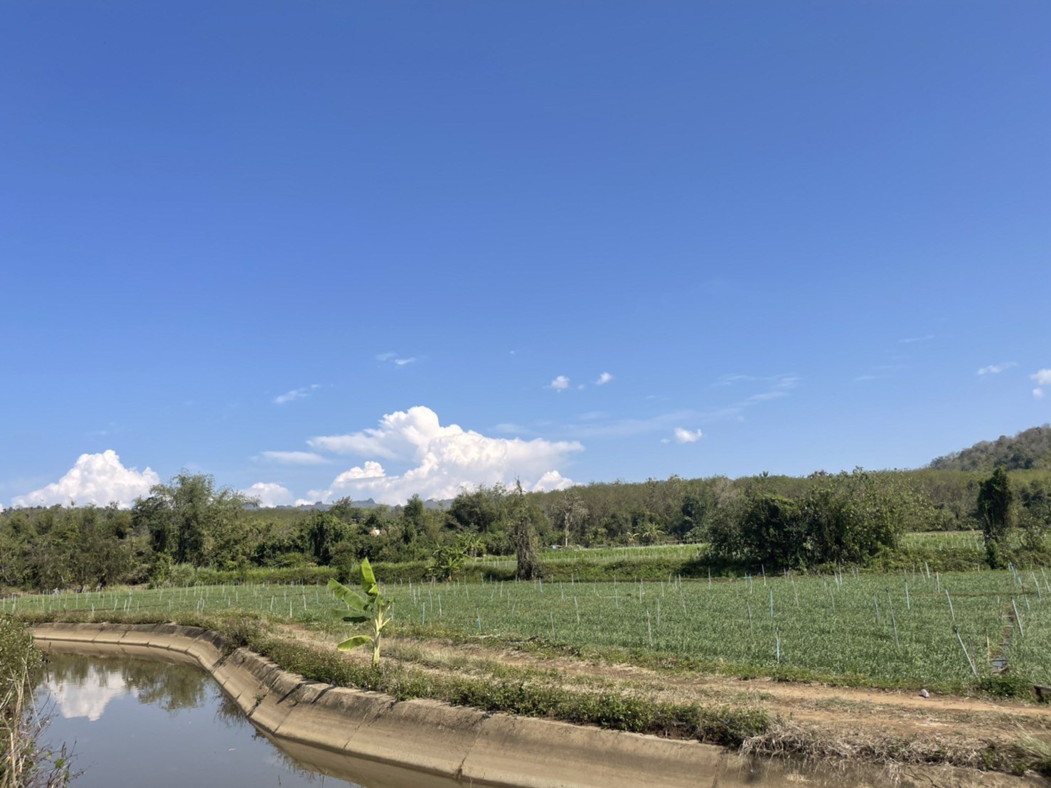 ขายที่ดินใกล้เมืองเชียงดาว-5-ไร่-22-ตรว-วิวสวย-วิวดอยหลวง