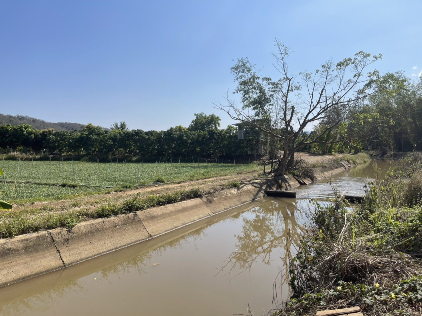 ขายที่ดินใกล้เมืองเชียงดาว-5-ไร่-22-ตรว-วิวสวย-วิวดอยหลวง