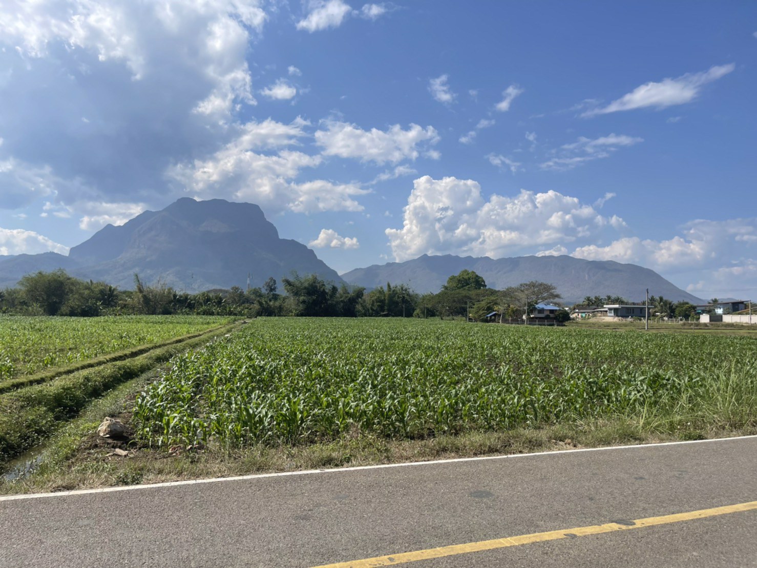 ขายที่ดินเชียงดาวแปลงเล็ก-2-ไร่-1-งาน-39-ตรว-วิวสวย-ทำเลทอง