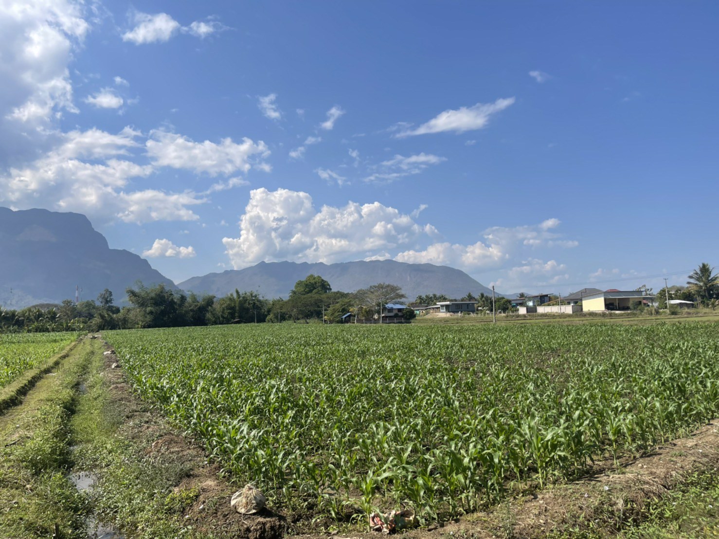 ขายที่ดินเชียงดาวแปลงเล็ก-2-ไร่-1-งาน-39-ตรว-วิวสวย-ทำเลทอง